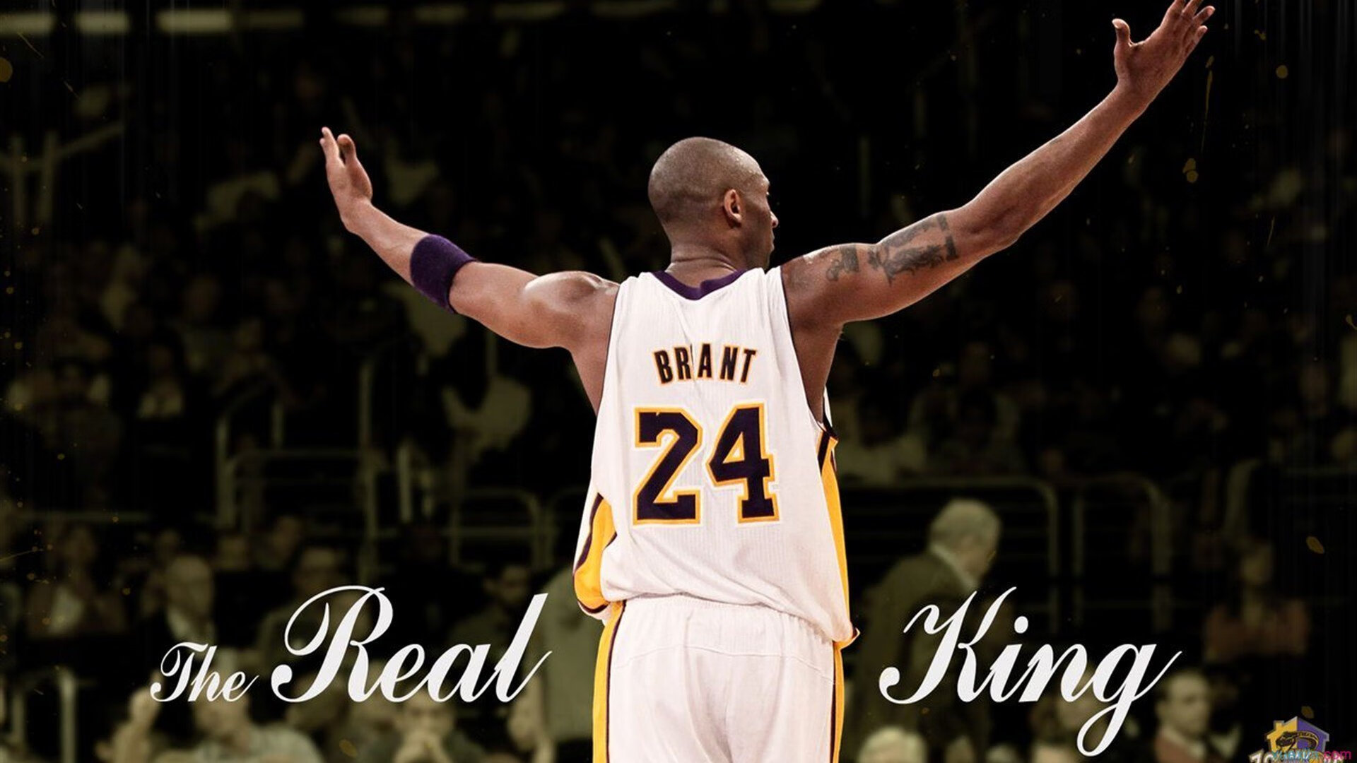 新赛季引入技术犯规自动识别系统，技术犯规季后赛清零吗